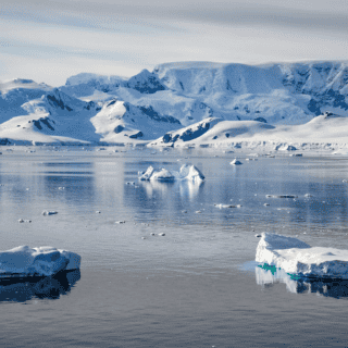 La Antártida se está volviendo verde debido al cambio climático