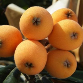 Este fruto previene la diabetes