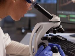 El programa Para las Mujeres en la Ciencia tiene gran relevancia por que se vuelve necesario incorporar a una mayor parte de la población en la búsqueda de soluciones. FREEPIK