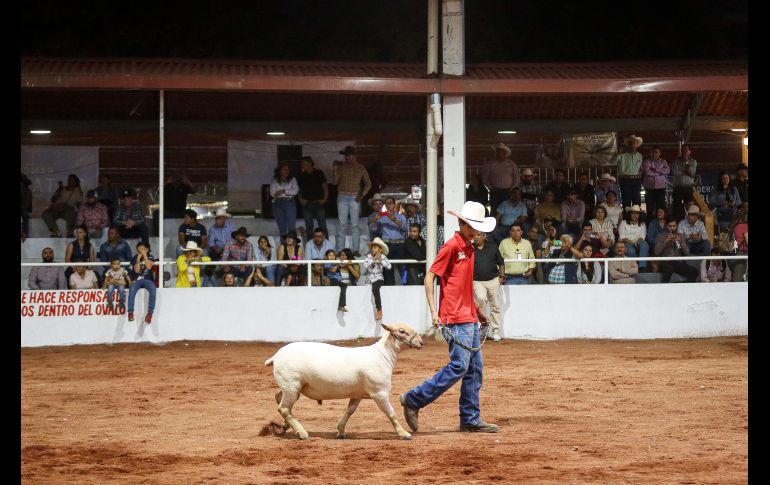 Esta tarde se inauguró la 60° edición de la Expo Ganadera en sus instalaciones, ubicadas en la calzada Huascato número 915, en la colonia El Álamo, en el municipio de Tlaquepaque. EL INFORMADOR / H. Figueroa