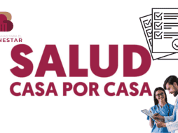 Desde este mes de octubre se dio inicio al censo de la Secretaría del Bienestar “Salud Casa por Casa”; conoce qué seguirá luego de la vista de los consultores. ESPECIAL