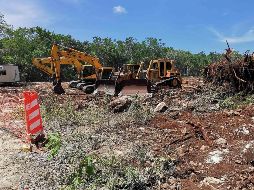 Ya se han confirmado casos activos de cáncer vinculados al uso de pesticidas de la agroindustria, sobre todo en el oriente de Yucatán. SUN / ARCHIVO