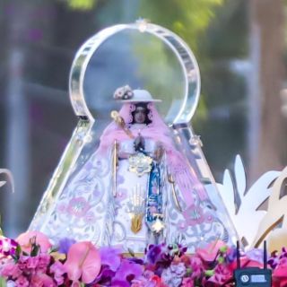 Claman a la Virgen de Zapopan por un país tranquilo