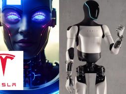 A nivel global, empresas y organizaciones han intensificado esfuerzos para desarrollar robots con capacidades humanas que optimicen los procesos de producción. TESLA