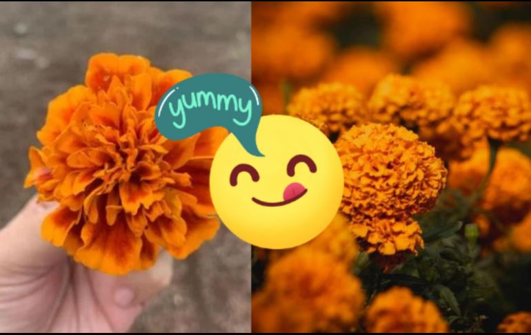 La flor de cempasúchil no solo es hermosa, sino que también añade un sabor distintivo y atractivo a una variedad de platillos. CANVA