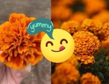 La flor de cempasúchil no solo es hermosa, sino que también añade un sabor distintivo y atractivo a una variedad de platillos. CANVA
