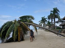 En Palacio Nacional, la Presidenta Claudia Sheinbaum destacó que la fase de emergencia por el huracán 