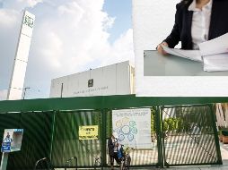 El número de seguro social se puede consultar por Internet solo con tu CURP y una dirección de correo electrónico personal. EL INFORMADOR / ARCHIVO