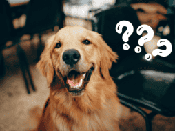 Estas creencias se han vuelto muy populares y han despertado la curiosidad de muchos. Pexels