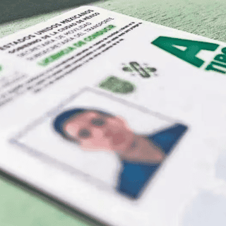 ¿Quiénes podrán acceder a la licencia de conducir permanente?
