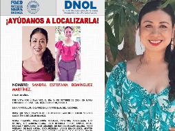 La organización solicita información al Estado Mexicano para agilizar búsqueda, localización y protección de activista mixe. FGEOX / X / @sandramixe