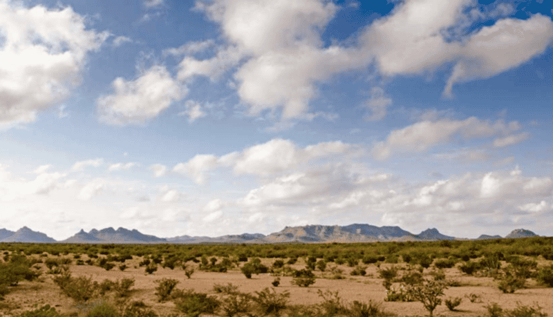 Mapimí es un poblado en Durango, y su origen se remonta al siglo XVI. ESPECIAL 