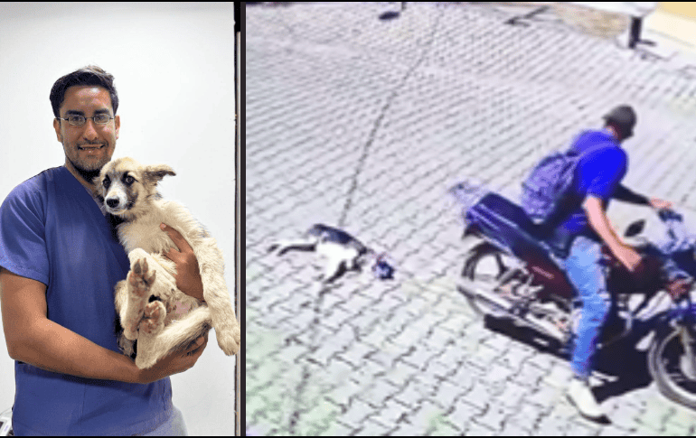 En Jalisco, el maltrato animal está tipificado como delito. Facebook / Gobierno Ixtlahuacan del Rio / X