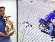 En Jalisco, el maltrato animal está tipificado como delito. Facebook / Gobierno Ixtlahuacan del Rio / X