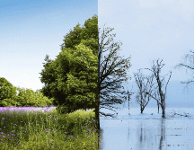 Hay tendencias que sugieren que algunas áreas del norte de Sudamérica podrían recibir más lluvias de lo normal. FREEPIK