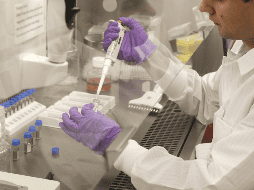 Efectos en la salud derivado de los microplásticos. EFE/ARCHIVO