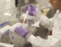 Efectos en la salud derivado de los microplásticos. EFE/ARCHIVO