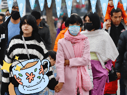 Para estas temporada de frío es importante fortalecer el sistema inmune, los tés son una buena manera para fortalecerlos. SUN / ARCHIVO