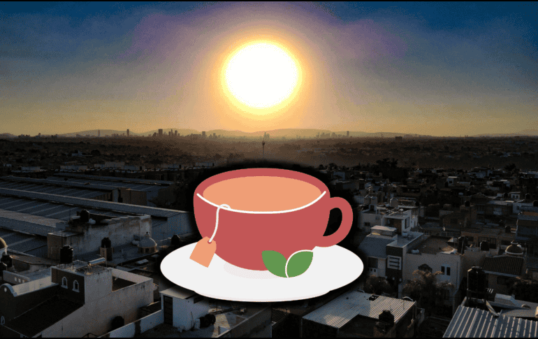 Incorporar el té blanco en la rutina diaria es sencillo y sus beneficios no se limitan solo a la piel. EL INFORMADOR / ARCHIVO