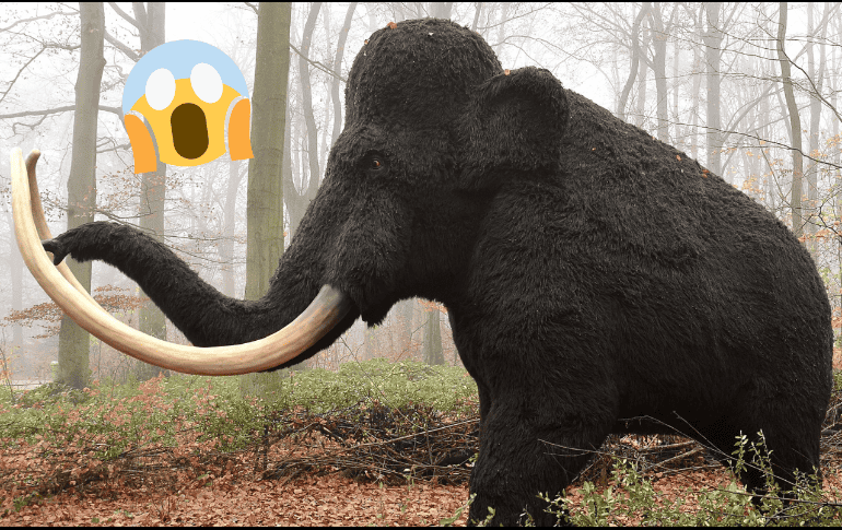 Resucitar especies extintas trae consigo una serie de debates éticos. Pixabay