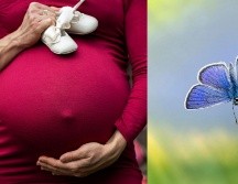 Uno de cada cuatro embarazos en el mundo no se logra. ESPECIAL/Pexels y Pixabay