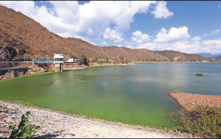 El Sistema Cutzamala ha recuperado sus niveles ideales de agua. ARCHIVO / Agencia EL UNIVERSAL
