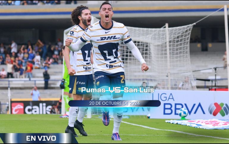 Pumas ha tenido un paso regular en la presente campaña. IMAGO7