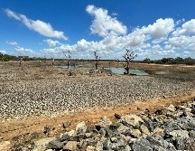 A corto plazo, la falta de agua podría afectar las producciones agrícolas en diversos estados. Unsplash