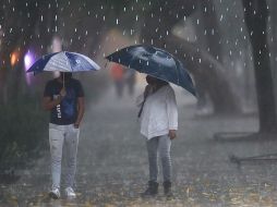 Se prevén chubascos y lluvias fuertes a muy fuertes acompañadas de descargas eléctricas. SUN / ARCHIVO