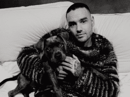 La música fue la protagonista del homenaje. INSTAGRAM/liampayne