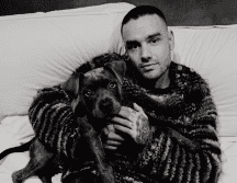 La música fue la protagonista del homenaje. INSTAGRAM/liampayne