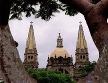 Guadalajara tiene árboles icónicos, algunos tan viejos como la ciudad misma. EL INFORMADOR/ ARCHIVO