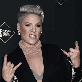 P!nk pospone parte de su gira por esta razón