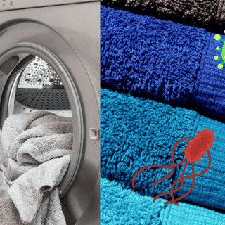 Esta es la verdadera frecuencia con la que debes lavar tus toallas, según expertos