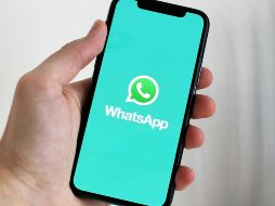 Whatsapp tiene herramientas que permitirán liberar la memoria de tu dispositivo. PEXELS