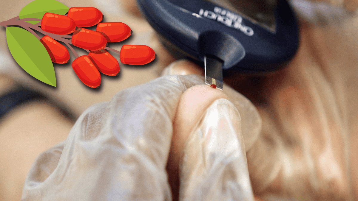 El alimento para diabéticos que baja los picos de azúcar en sangre después de comer | El Informador