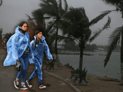 Clima en México: Las rachas de viento fuertes a muy fuertes podrían derribar árboles y anuncios publicitarios. EL INFORMADOR / ARCHIVO