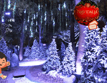 Pasaje en Navidalia. EL INFORMADOR / ARCHIVO