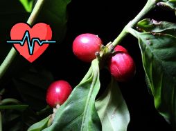 El café es uno de los productos que suele producirse de forma orgánica. NOTIMEX / ARCHIVO