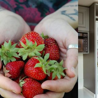 ¿Cómo conservar las fresas para que duren más tiempo?