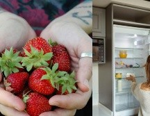 La venta de la fresa que se produce en México es mayormente para consumo fresco. ESPECIAL/Pexels