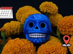 Es un deleite apreciar las hermosas flores de cempasúchil. ESPECIAL/Pexels y Canva