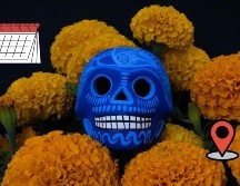 Es un deleite apreciar las hermosas flores de cempasúchil. ESPECIAL/Pexels y Canva