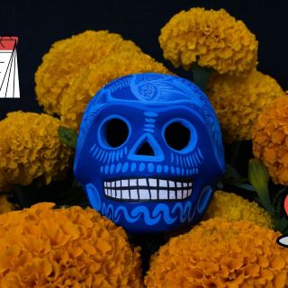 Disfruta de los campos de cempasúchil en Guadalajara; precio y ubicación