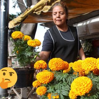 Día de Muertos 2024: ¿Cuánto cuesta la flor de cempasúchil en CDMX?