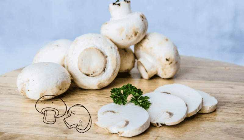 &nbsp;Los champiñones cuentas con propiedades antioxidantes que ayudan a retrasar en envejecimiento. CANVA