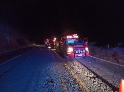 Elementos de la Unidad Estatal de Protección Civil y Bomberos del Estado rescataron los cadáveres. ESPECIAL