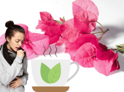 Esta flor además posee propiedades antibacterianas y se ha utilizado para tratar diversos problemas de la piel. CANVA/ ESPECIAL