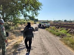 La Fiscalía General del Estado dio a conocer que se registraron diez carpetas de investigación por el delito de homicidio doloso. SUN / ESPECIAL