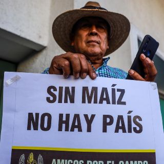 Deja Sader sin respuesta a productores de maíz
